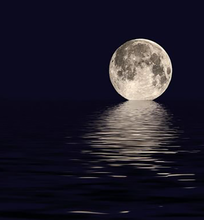 Load image into Gallery viewer, Checkpoint